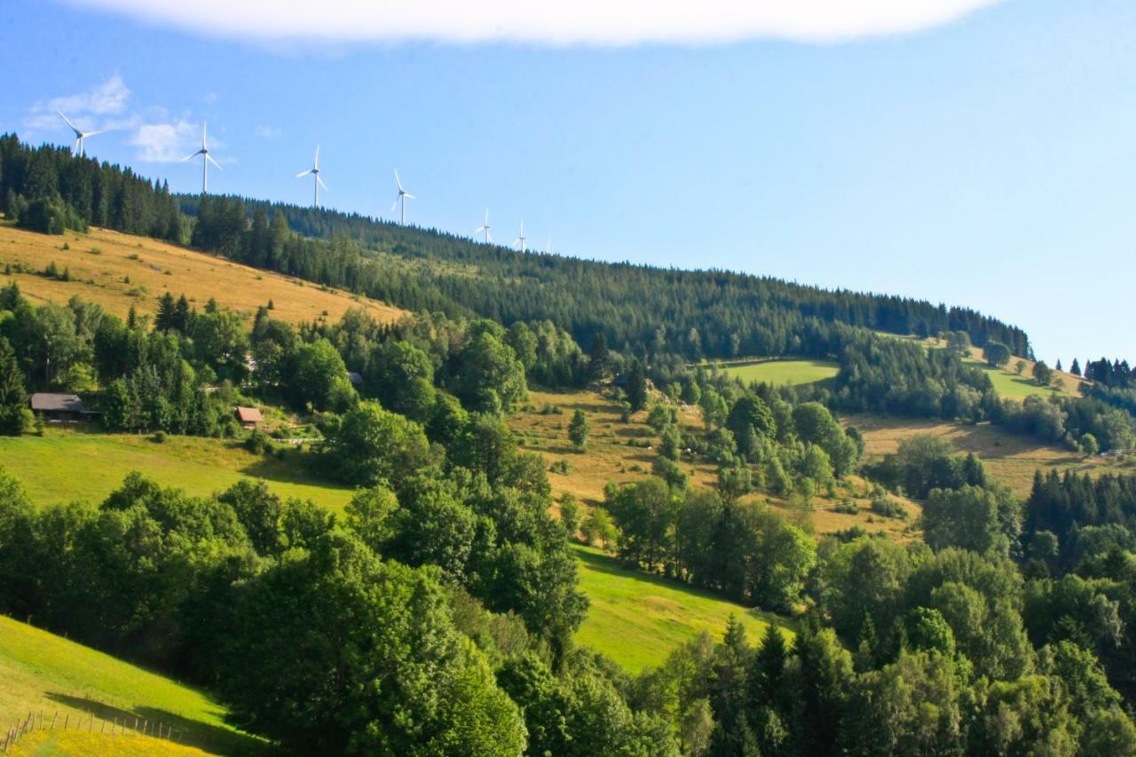 Genussgasthof Willenshofer Sankt Kathrein am Hauenstein Eksteriør bilde